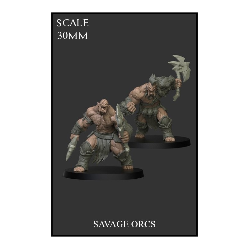 Savage Orcs 2 miniatures