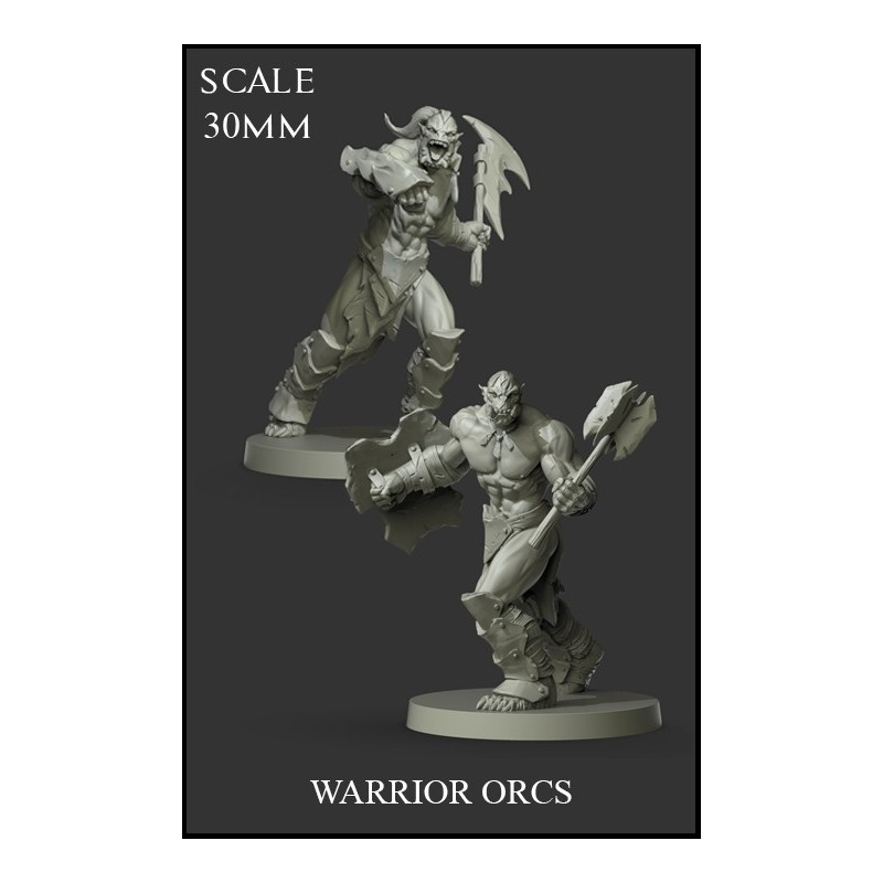 Warrior Orcs - 2 miniaturas