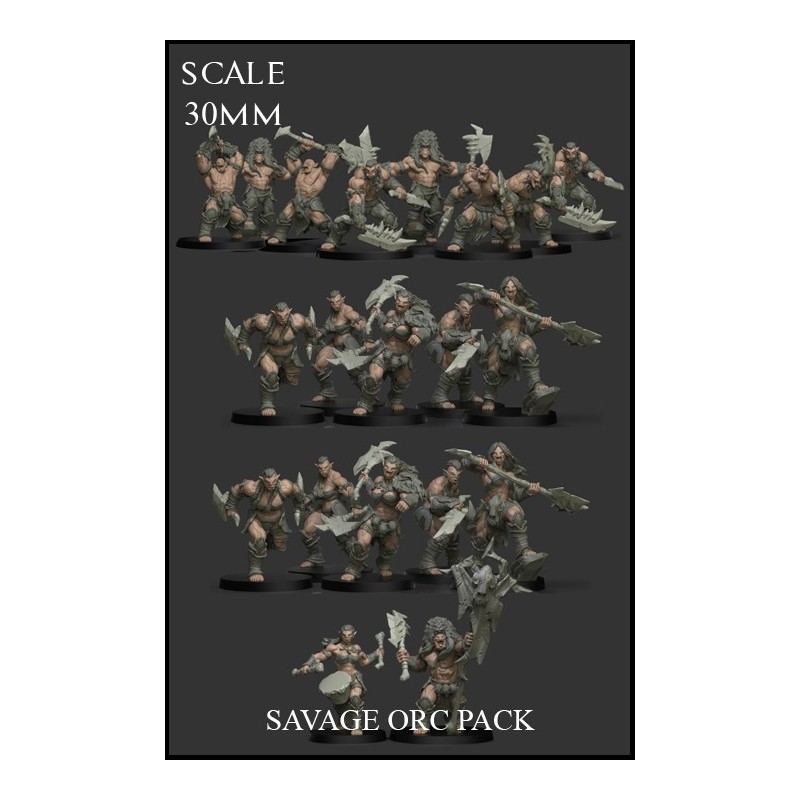 Savage Orc Pack - 20 miniatures