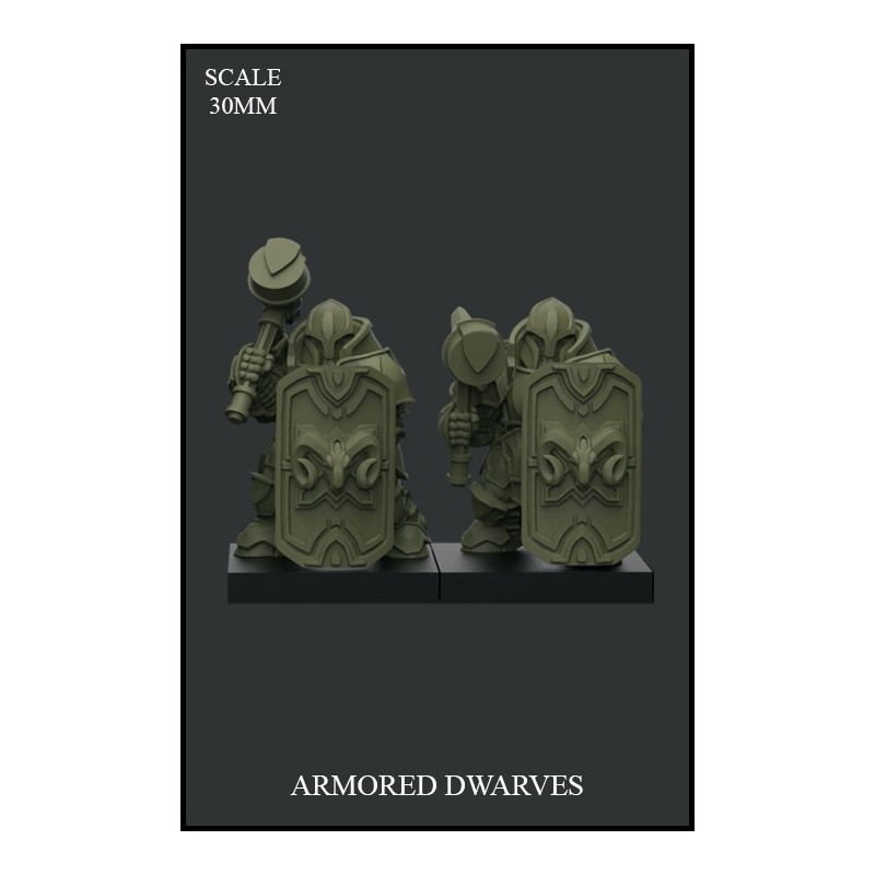 Armored Dwarves - 2 miniatures