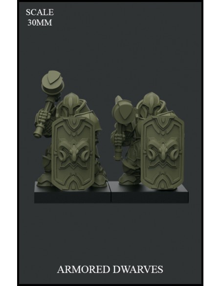 Armored Dwarves - 2 miniaturas