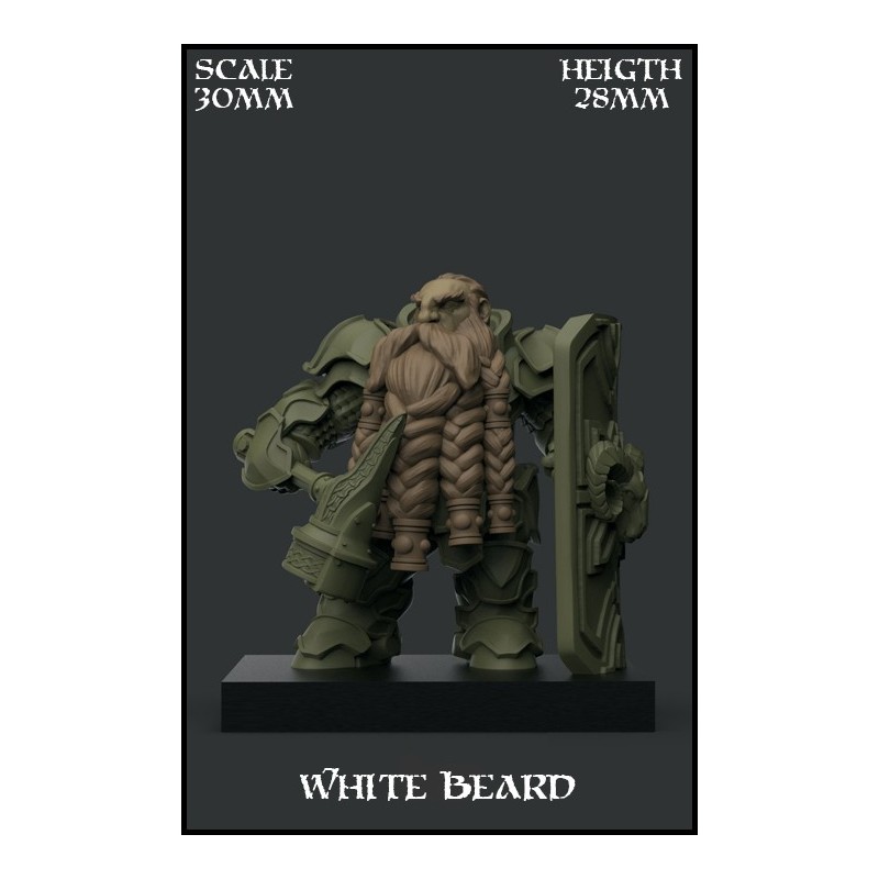 "White Beard" Character 30mm Scale - 1 miniatura
