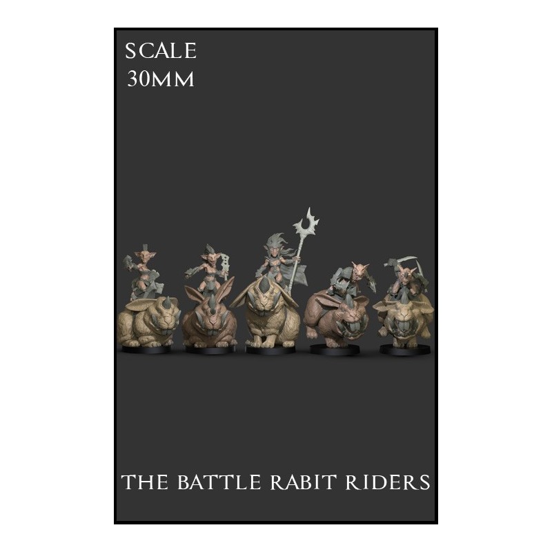 "The Battle Rabit Riders" 30mm Scale - 5 miniatures
