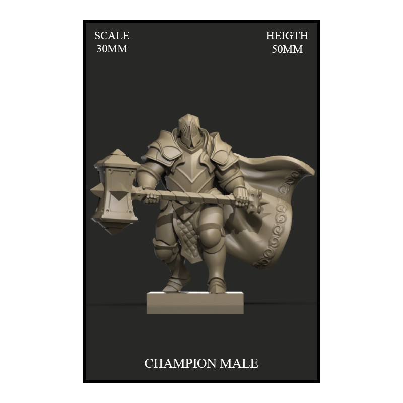 Champion Male 30mm - 1 miniature
