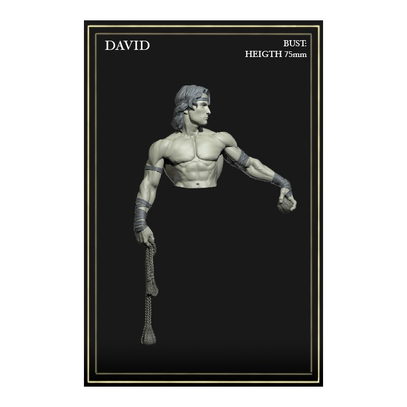 David - 1 Bust