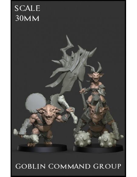 Goblin Command Group - 2 miniaturas