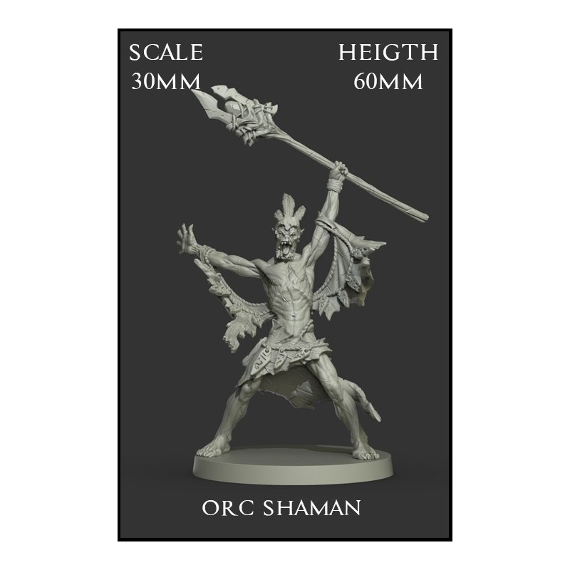 Orc Shaman Scale 30mm - 1 miniature
