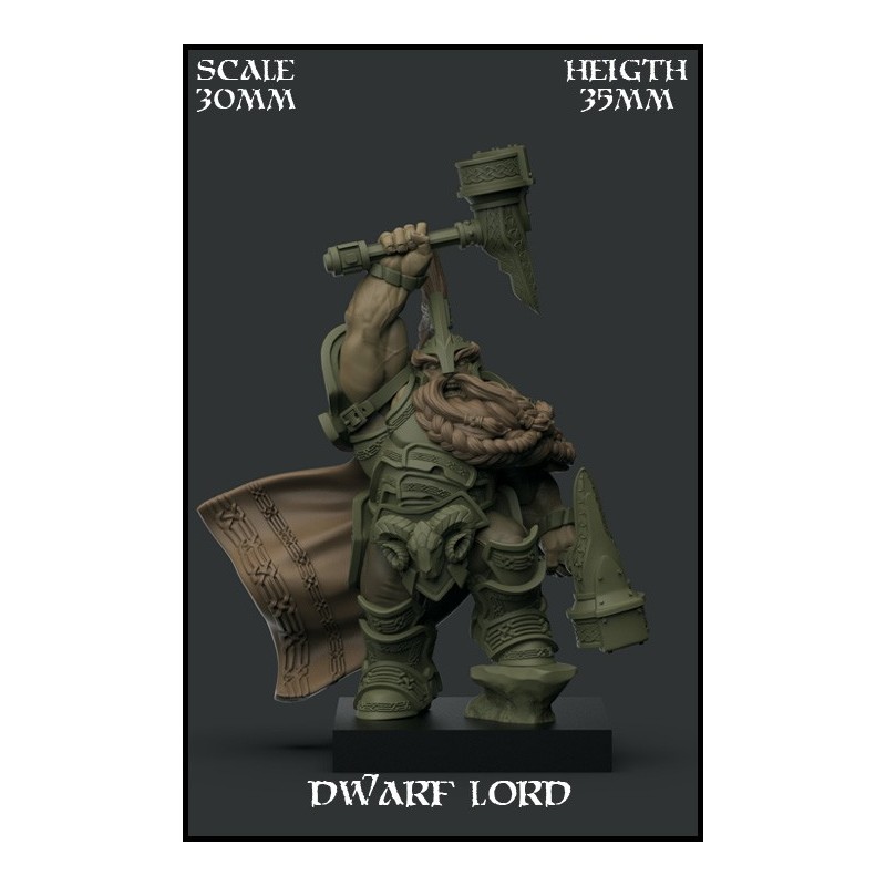 "Dwarf Lord" Character 30mm Scale - 1 miniatura
