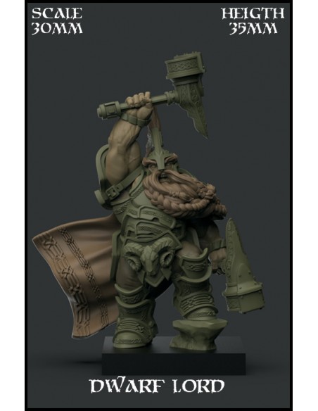 "Dwarf Lord" Character 30mm Scale - 1 miniatura