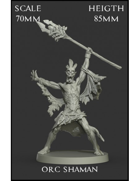 Orc Shaman Scale 70mm - 1 miniature