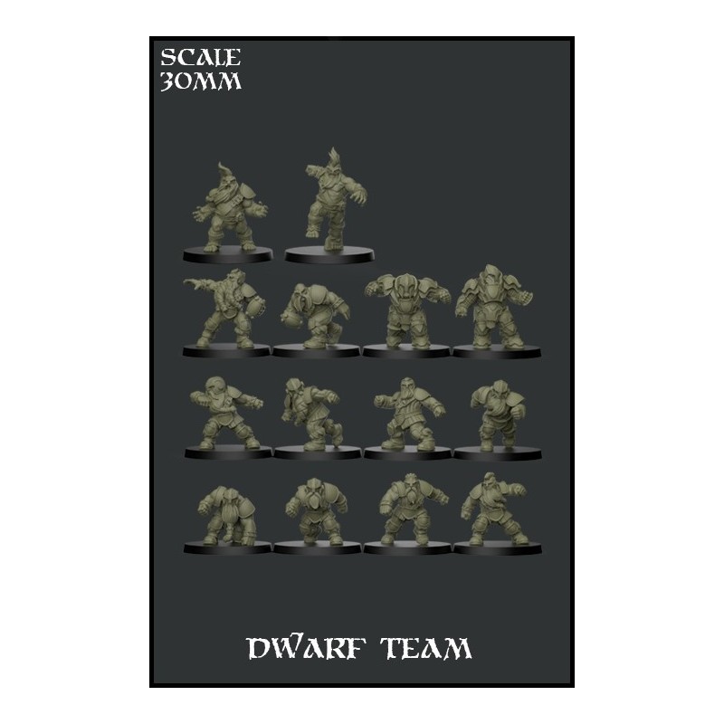 "Dwarf Team" Fantasy Football - 14 miniatures